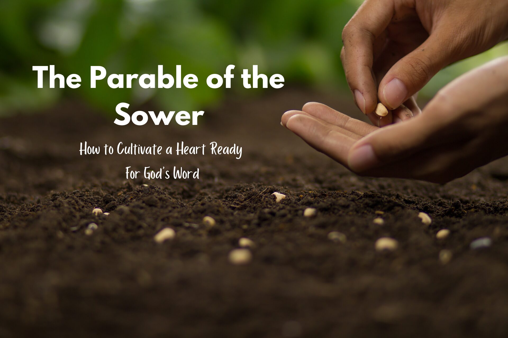 Parable of the Sower