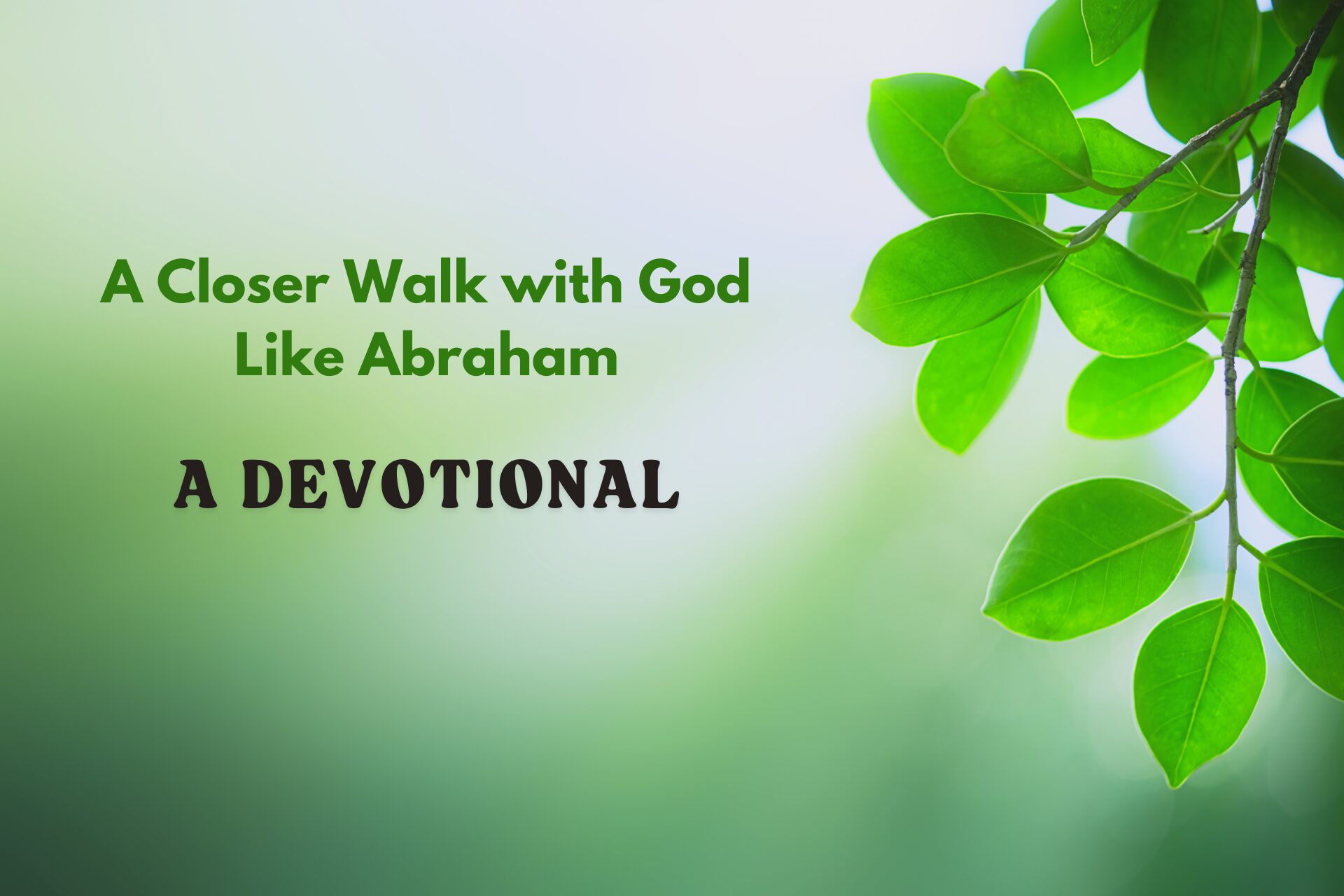 Devotional: A Closer walk with God